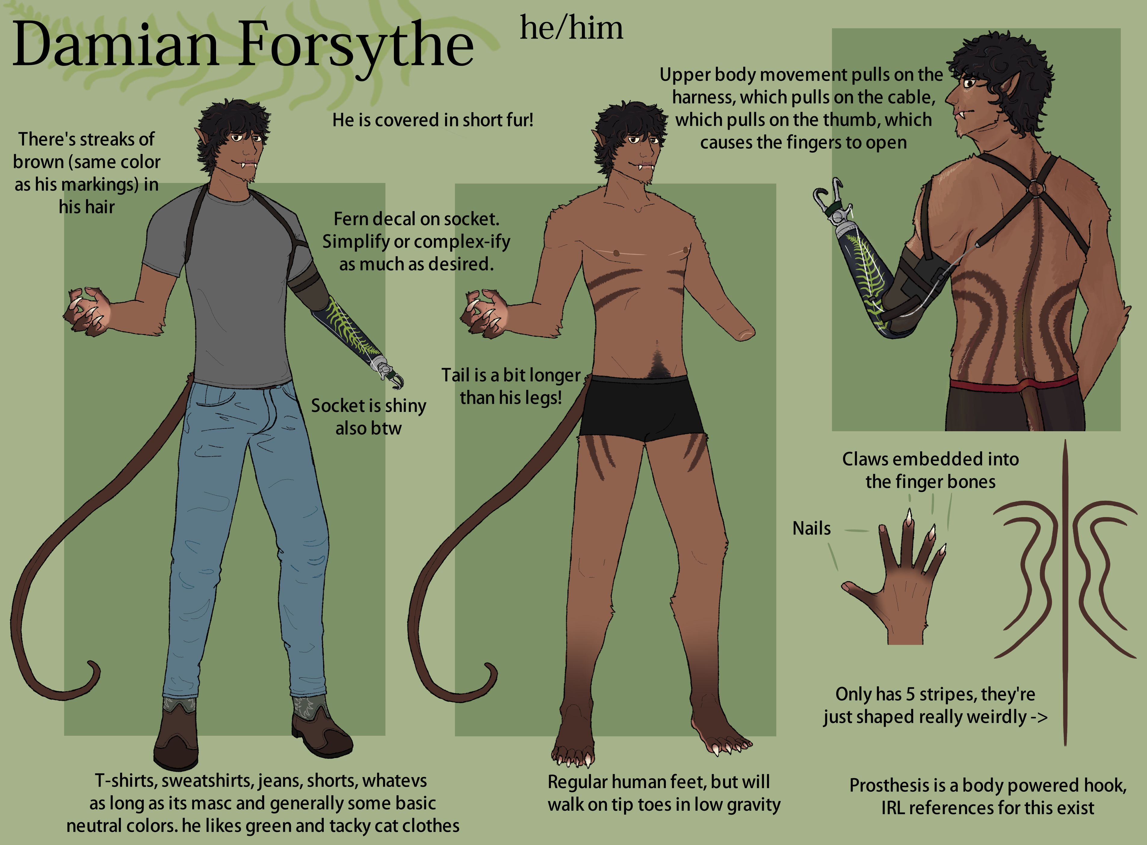 Damian Forsythe is a furry human with cat-like traits. His skin is brown and his hair is black. He wears a gray t-shirt with jeans. His left arm is missing, he is using a prosthetic hook.